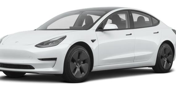 TESLA MODEL 3 2021 5YJ3E1EA2MF982983 image